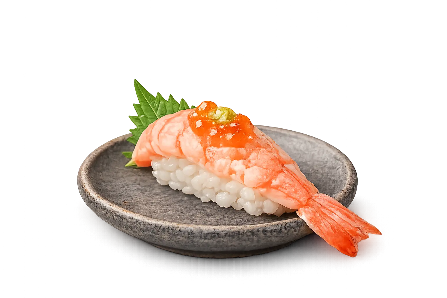 Exquisite Sushi Selection